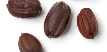 nasiona jojoba